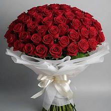 Букет 101 Красная роза Блэк Мэджик в Серноводском