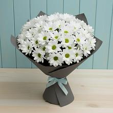 Букет цветов из:  Хризантемы #REPLACE_PRED# Серноводском