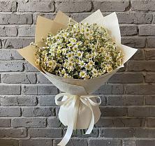 Букет цветов из:  Ромашки в Серноводском