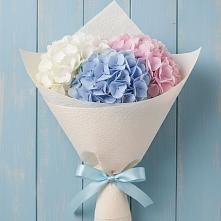 Букет цветов из:  Гортензия в Серноводском