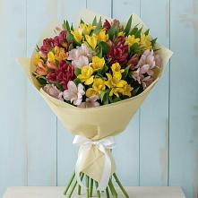 Букет цветов из:  Альстромерии в Серноводском