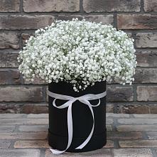 Цветочная композиция из Гипсофила в шляпной коробке #REPLACE_PRED# Серноводском