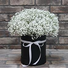 Цветочная композиция из Гипсофила в шляпной коробке в Серноводском