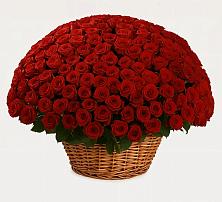 Премиум букет из: Розы в Серноводском