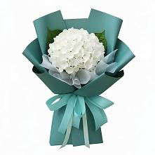 Букет цветов из:  Гортензия в Серноводском